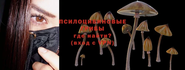 дурь Куйбышев