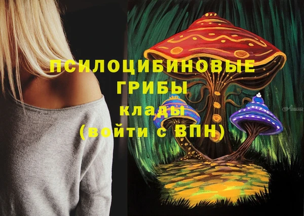 дурь Куйбышев