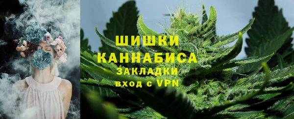 ГАЛЛЮЦИНОГЕННЫЕ ГРИБЫ Кукмор