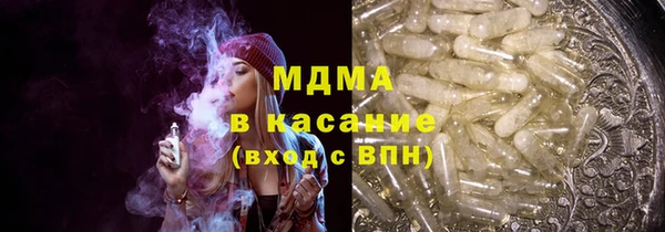 индика Краснослободск